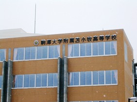 駒澤 大学 附属 苫小牧 高等 学校